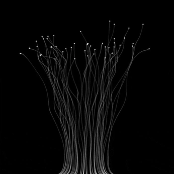 A cover of "Growth" cluster. The owner is belente. The cluster consists of 2 elements.