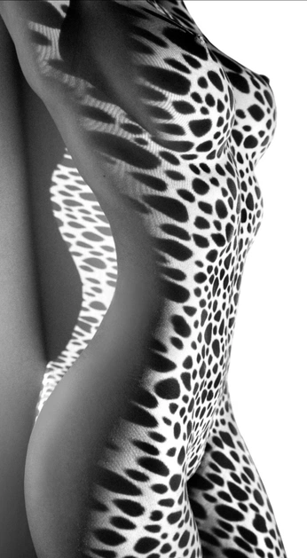 A cover of "sexy" cluster. The owner is harliedpast. The cluster consists of 12 elements.