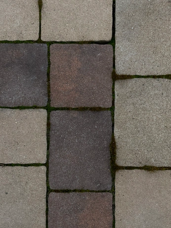 A cover of "Charming Charleston" cluster. The owner is peraspera. The cluster consists of 6 elements.