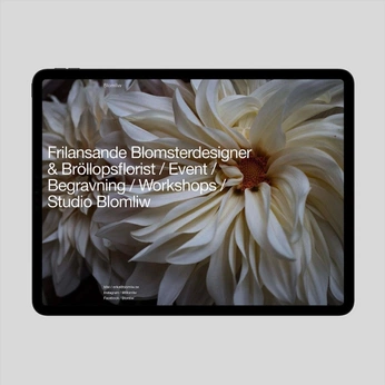 A cover of "D4_UI-DESIGN" cluster. The owner is abel. The cluster consists of 18 elements.