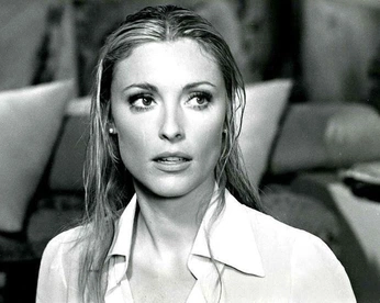 A cover of "wow" cluster. The owner is lulums. The cluster consists of 1 element.