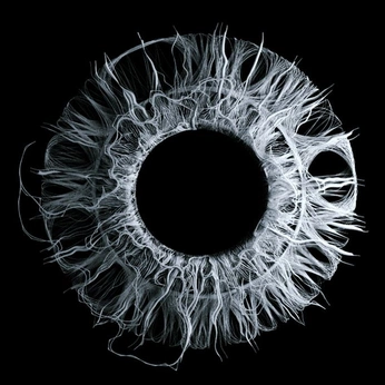 A cover of "Cyberpunk Aestethic" cluster. The owner is ketom. The cluster consists of 10 elements.