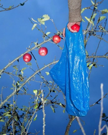 A cover of "ph" cluster. The owner is sergeynugaev. The cluster consists of 2 elements.