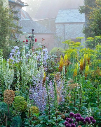 A cover of "mandela in the garden" cluster. The owner is umawaza. The cluster consists of 3 elements.