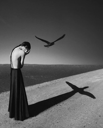 A cover of "Photographic Art" cluster. The owner is gjgreenlea. The cluster consists of 2 elements.