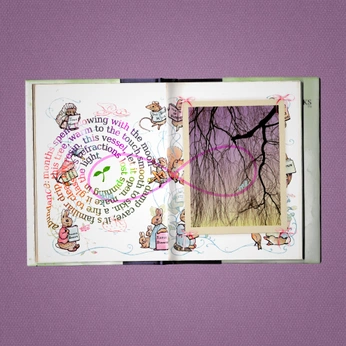 A cover of "005 scrapbook" cluster. The owner is stephiejournal. The cluster consists of 32 elements.