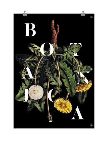 A cover of "Actibio" cluster. The owner is paulq. The cluster consists of 5 elements.