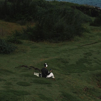 A cover of "Plein Air / Drone Shots" cluster. The owner is julespools. The cluster description is "* panoramic image construction / layout * up close painting shots ". The cluster consists of 32 elements.