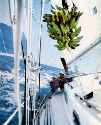 A cover of "sailing" cluster. The owner is vivi01. The cluster consists of 18 elements.