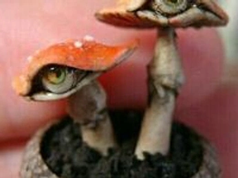 A cover of "Art inspo" cluster. The owner is d.hellboy. The cluster consists of 1 element.