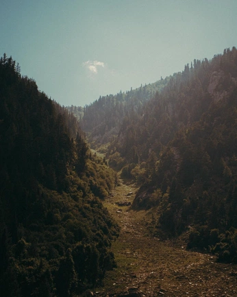 A cover of "nature" cluster. The owner is mandynicole. The cluster consists of 3 elements.