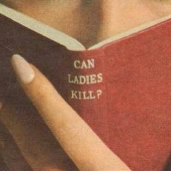 A cover of "mob wives" cluster. The owner is bloomfahra. The cluster description is "book. coming soon ...". The cluster consists of 315 elements.