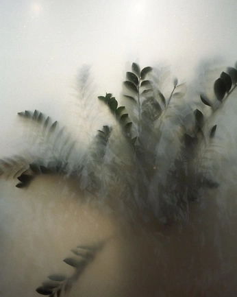 A cover of "cozy" cluster. The owner is tejpage. The cluster consists of 4 elements.