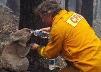 A cover of "humans" cluster. The owner is sethihq. The cluster consists of 38 elements.