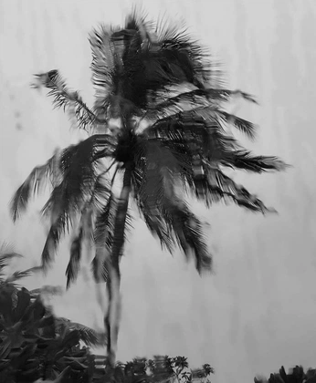 A cover of "Posters kamer" cluster. The owner is isasmits. The cluster consists of 1 element.