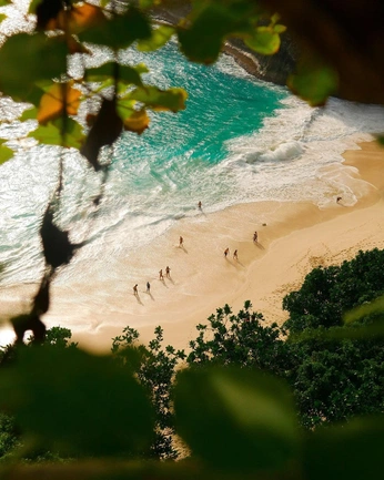 A cover of "JAMAICA ASLAY" cluster. The owner is masonrose. The cluster consists of 101 elements.