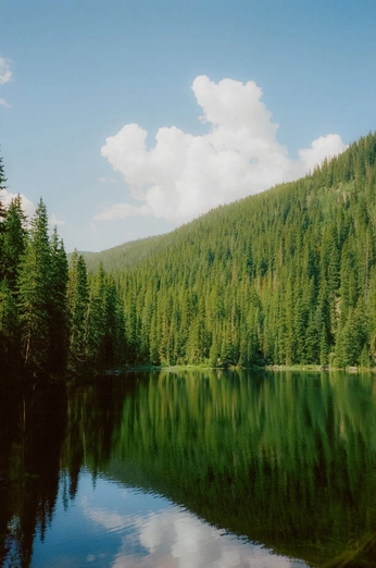 A cover of "Landscape" cluster. The owner is weezee. The cluster consists of 5 elements.