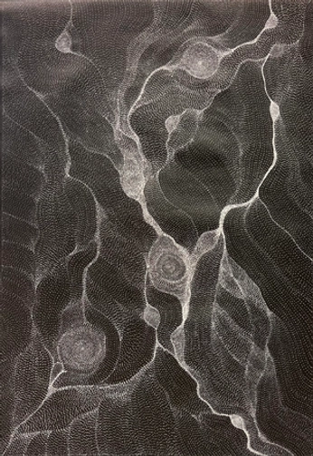 A cover of "Australia" cluster. The owner is greenmark. The cluster consists of 25 elements.