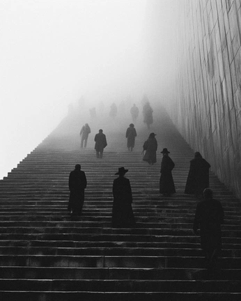 A cover of "Photography" cluster. The owner is bluelagoon. The cluster consists of 107 elements.