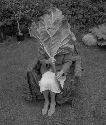 A cover of "insporation" cluster. The owner is gayyer. The cluster consists of 3 elements.