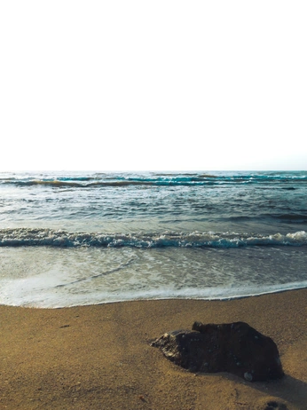 A cover of "beach" cluster. The owner is bbllk. The cluster consists of 9 elements.