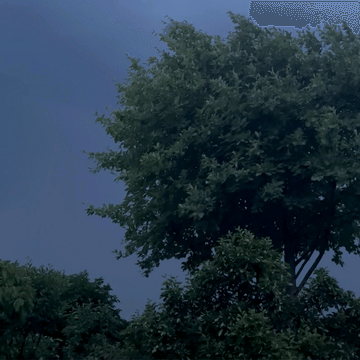 Cover of Motion Design cluster