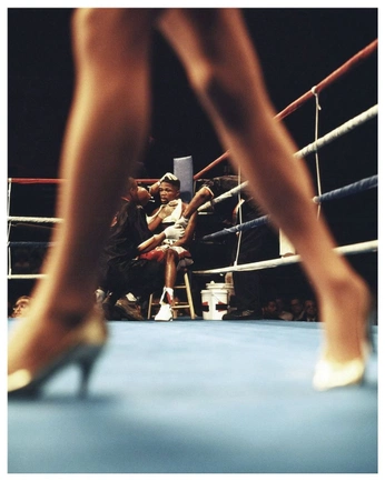 A cover of "Boxing" cluster. The owner is tplush. The cluster consists of 6 elements.