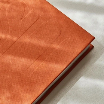 A cover of "Lookbook" cluster. The owner is dcambranes. The cluster consists of 29 elements.