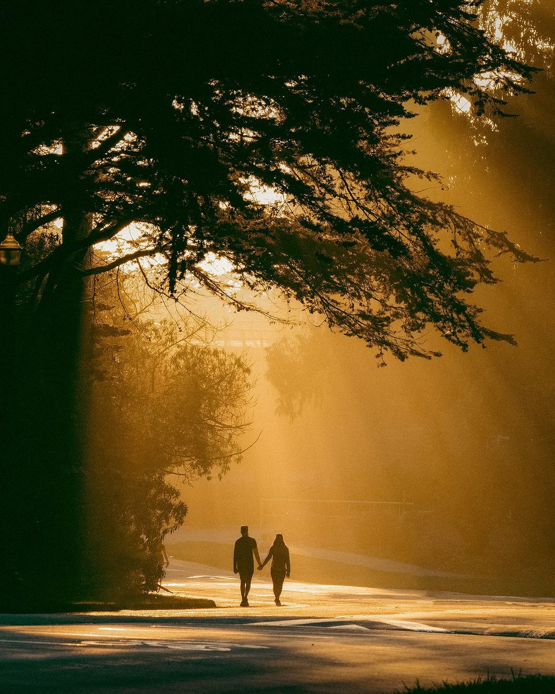 Photo by Joshua Amirthasingh.