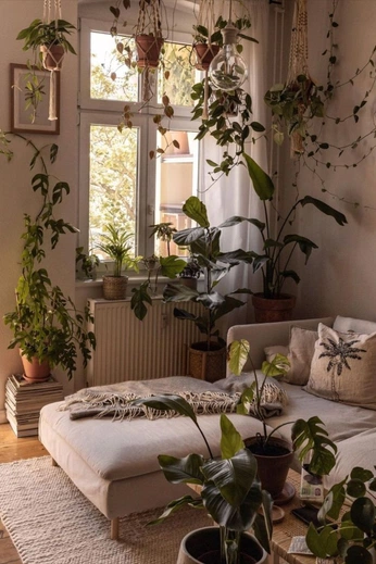 A cover of "room" cluster. The owner is malcolm. The cluster consists of 10 elements.