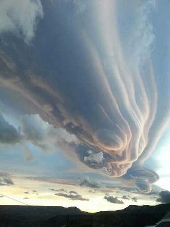 A cover of "NATURE" cluster. The owner is phi. The cluster consists of 41 elements.