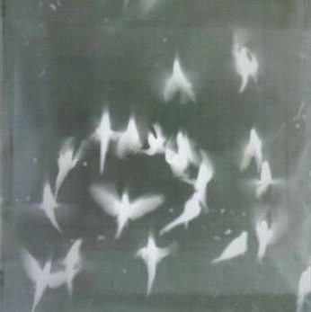 A cover of "Gitt" cluster. The owner is polinch. The cluster consists of 16 elements.