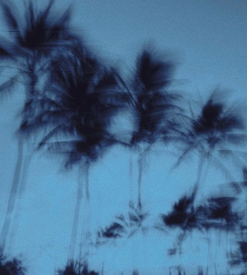 A cover of "Paradiso" cluster. The owner is remmbo. The cluster consists of 6 elements.