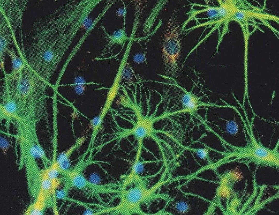 A Pinterest pin added by mothsp1ne on Sep 12, 2025. The author is ha!ey. May present: visual arts, art, the arts.