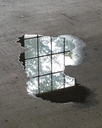 A cover of "beautiful" cluster. The owner is tinadsb. The cluster consists of 2 elements.