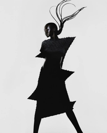 A cover of "silhouette" cluster. The owner is fatima.samiii. The cluster consists of 4 elements.