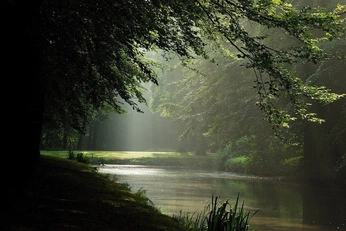 A cover of "debussy" cluster. The owner is icyberd. The cluster consists of 33 elements.