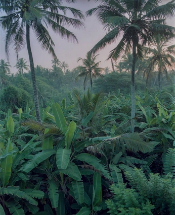 A cover of "LAB. MATERIAL" cluster. The owner is valzusa. The cluster consists of 5 elements.