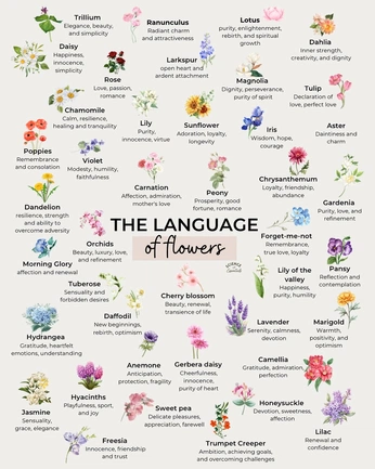 A cover of "Good to Keep" cluster. The owner is melontokkilab. The cluster consists of 18 elements.