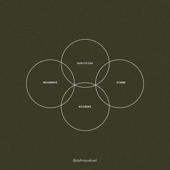 A cover of "Notes" cluster. The owner is spacetimems. The cluster consists of 16 elements.