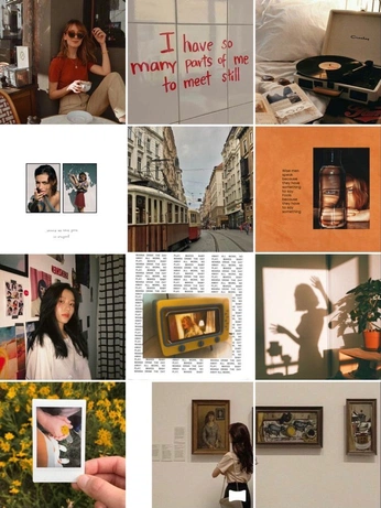 A cover of "Instagram feeds" cluster. The owner is nn4nk1. The cluster consists of 5 elements.