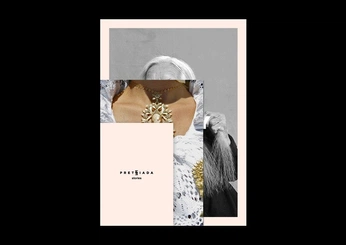 A cover of "collage animations" cluster. The owner is hero0. The cluster consists of 11 elements.