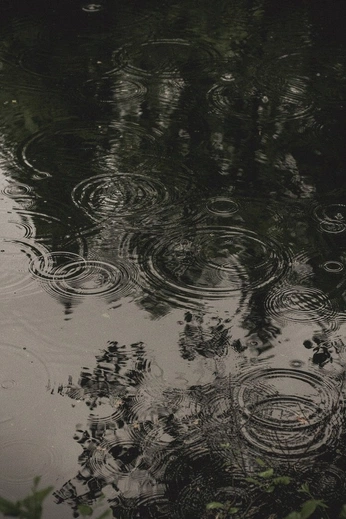 A cover of "rain" cluster. The owner is nilsey. The cluster consists of 9 elements.