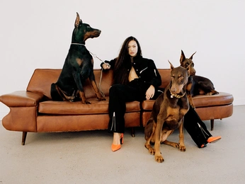 A cover of "the set" cluster. The owner is molmathews. The cluster consists of 45 elements.