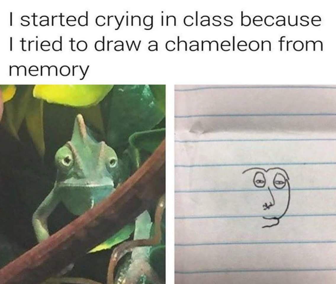 The "I started crying in class because I tried to draw a chameleon from memory" meme.