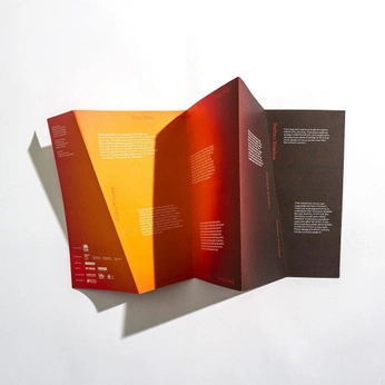 A cover of "branding brochure" cluster. The owner is sophlyy. The cluster consists of 7 elements.