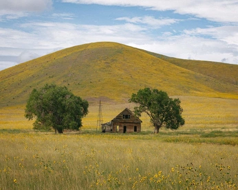 A cover of "minecraft" cluster. The owner is smntha. The cluster consists of 9 elements.