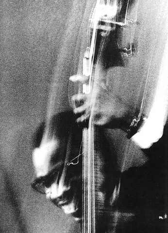 A cover of "photography" cluster. The owner is lillll. The cluster consists of 8 elements.