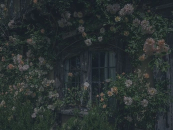 A cover of "garden•cottage" cluster. The owner is serafae8starfire. The cluster consists of 5 elements.