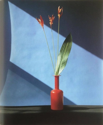 A cover of "Light" cluster. The owner is neekmason. The cluster consists of 2 elements.